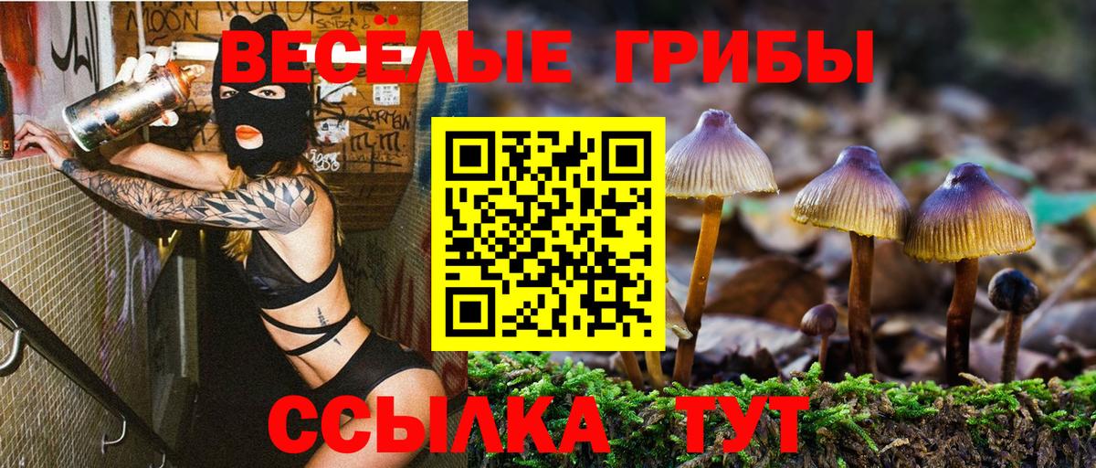 Псилоцибиновые грибы Psilocybine cubensis  Псилоцибиновые грибы ЛСД  Вход с VPN  Камышин 