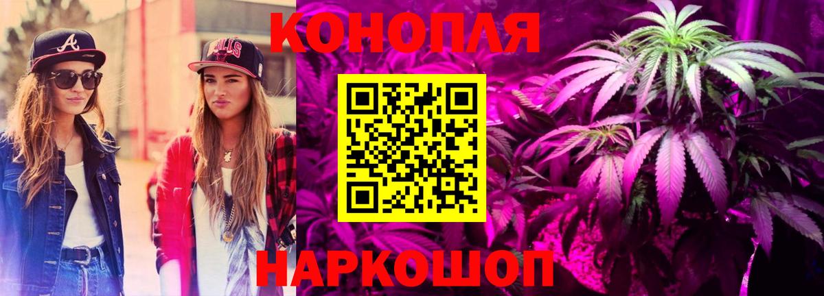 Конопля гибрид Камышин